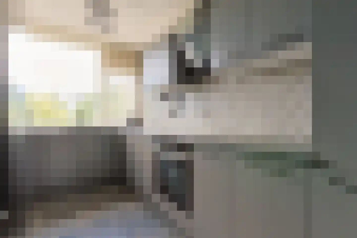 Vliestroom 369 Alphen aan den Rijn thumbnail 16