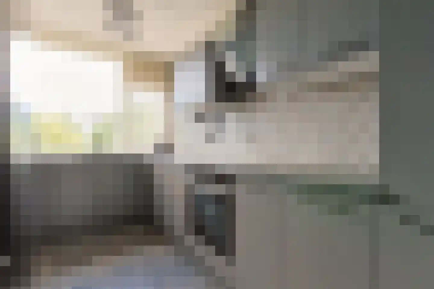 Vliestroom 369 Alphen aan den Rijn thumbnail 17