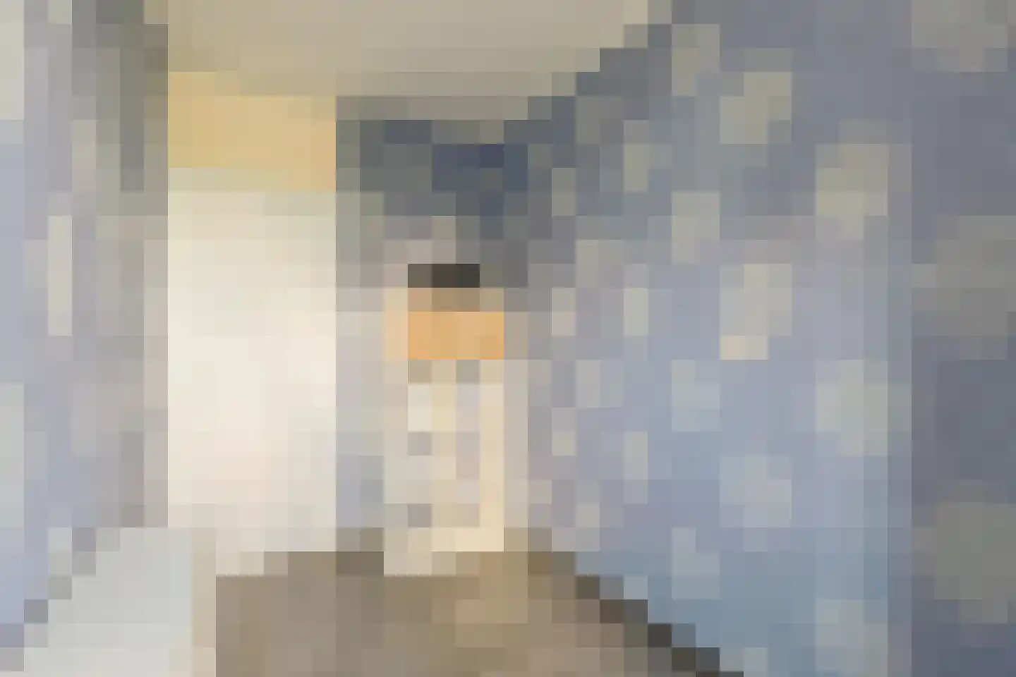 Vliestroom 369 Alphen aan den Rijn thumbnail 27