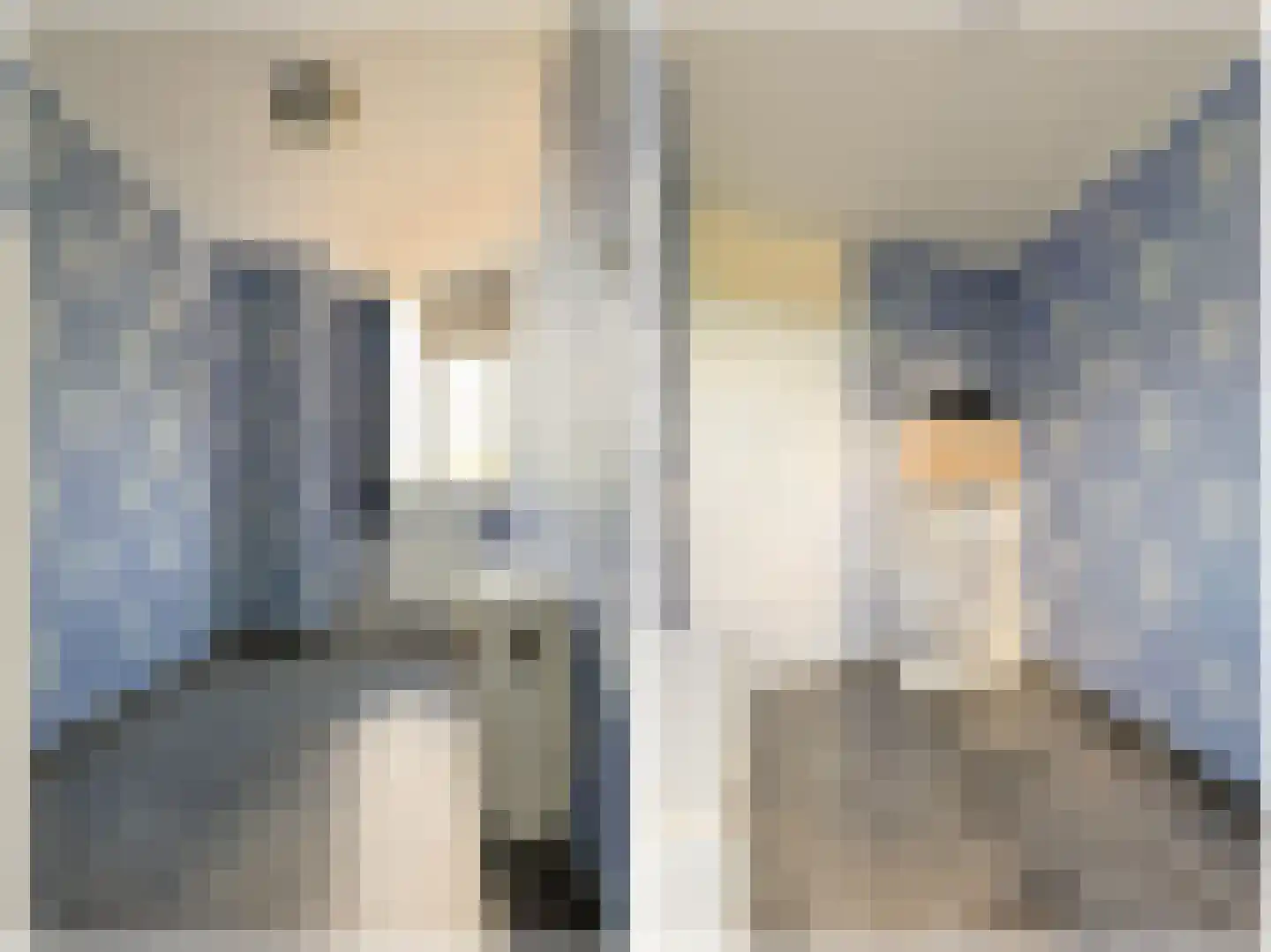 Vliestroom 369 Alphen aan den Rijn thumbnail 29