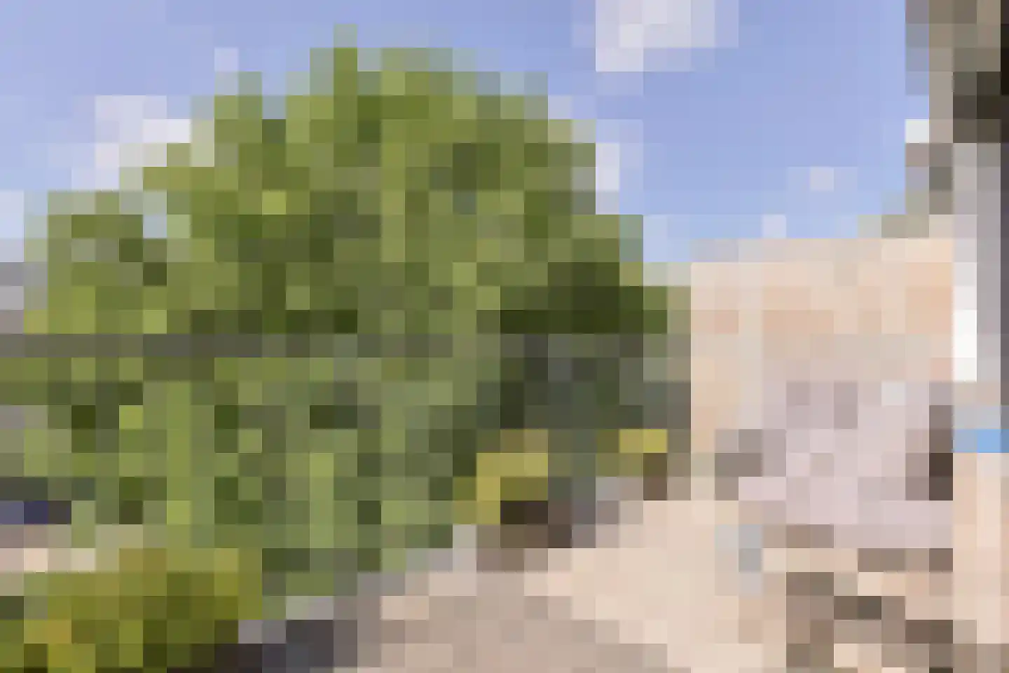 Vliestroom 369 Alphen aan den Rijn thumbnail 33