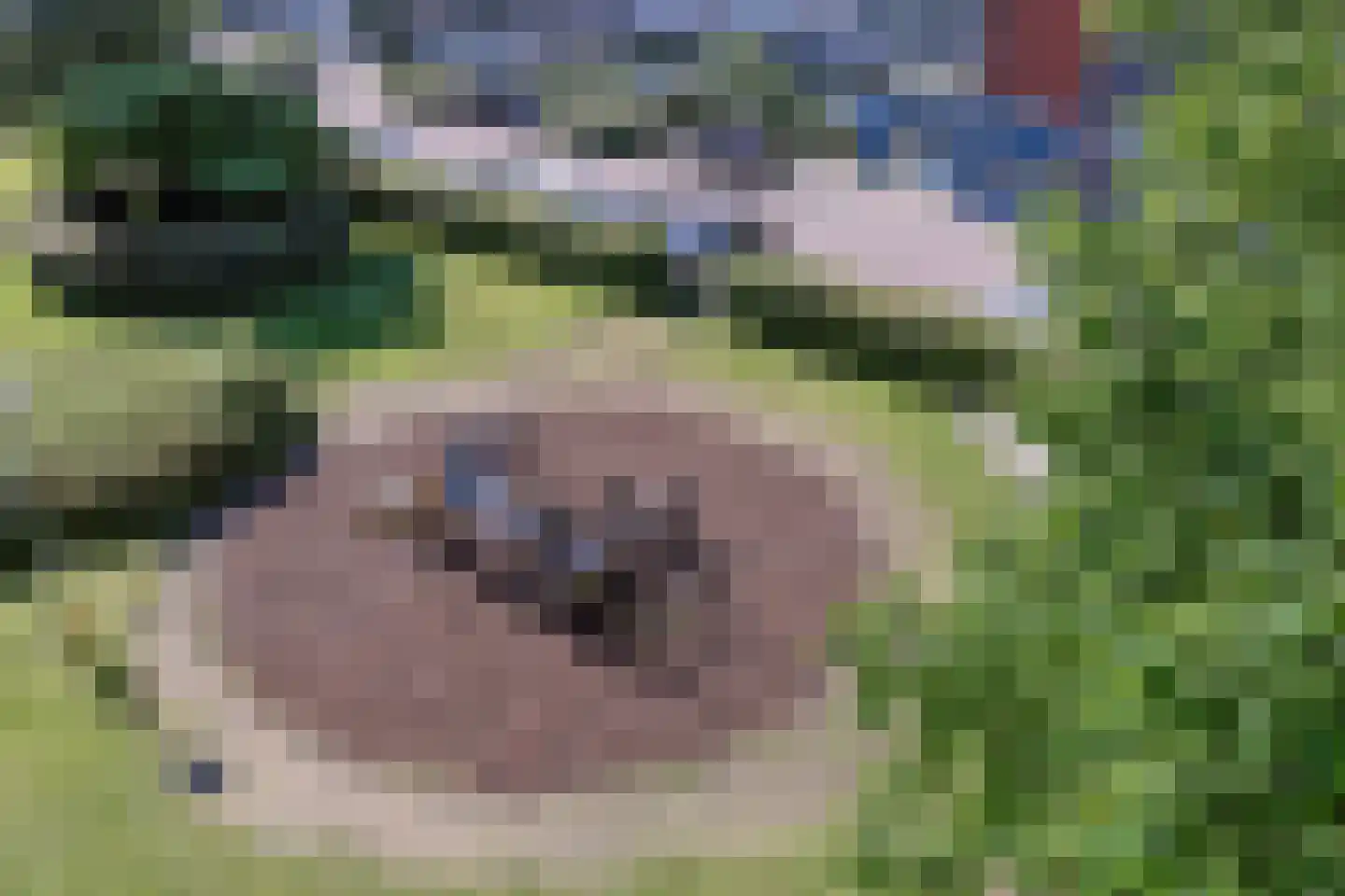 Vliestroom 369 Alphen aan den Rijn thumbnail 37