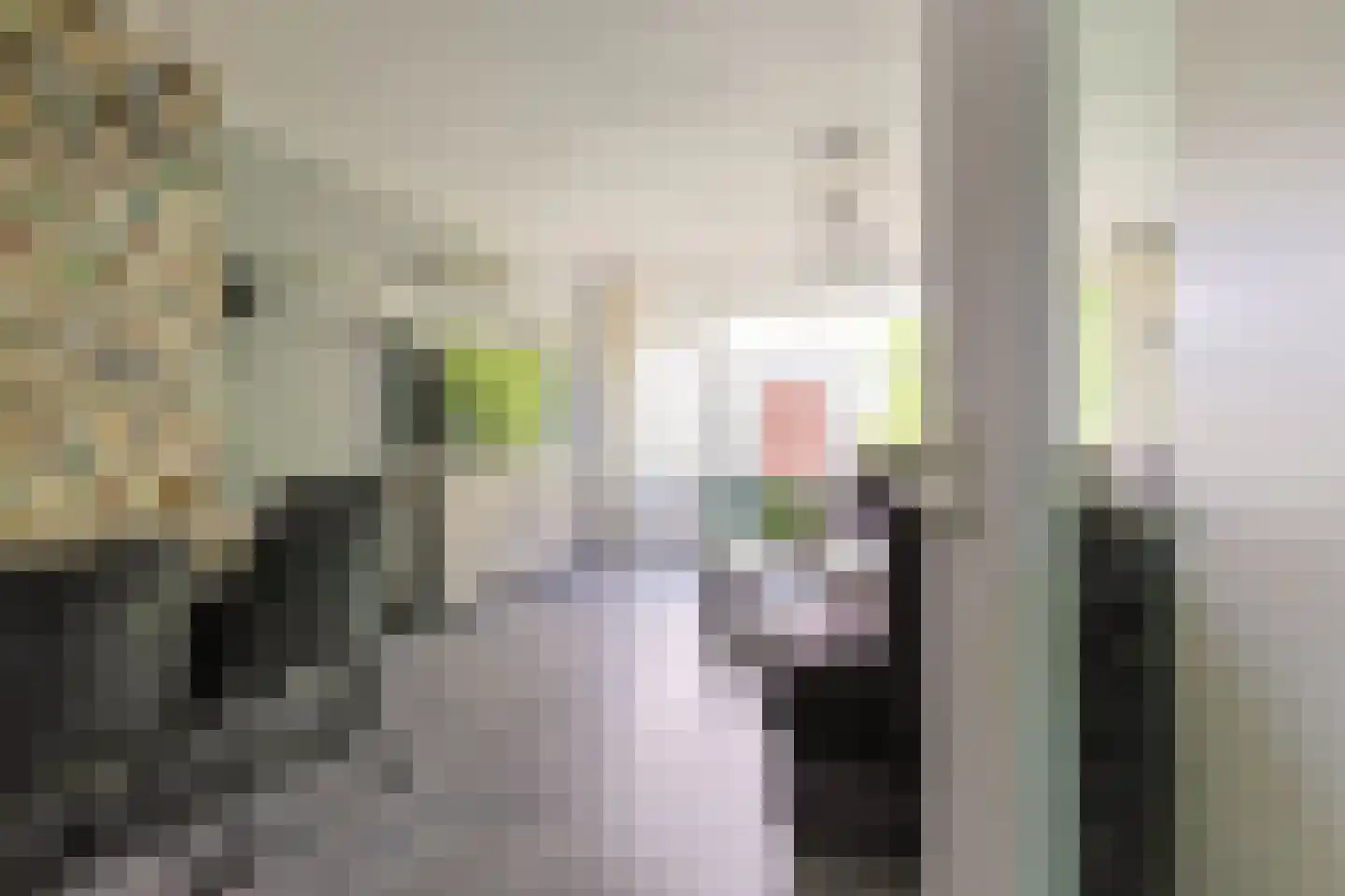 Vliestroom 369 Alphen aan den Rijn thumbnail 9