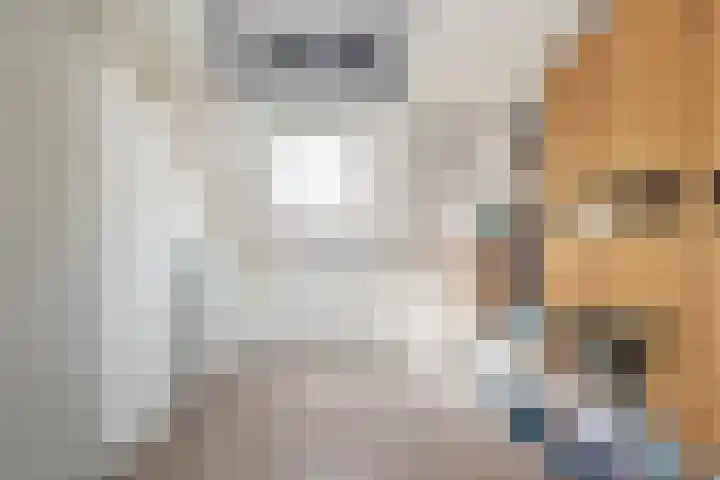 Vliestroom 37 Wieringerwerf thumbnail 21