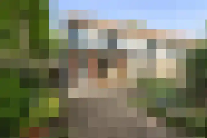 Vliestroom 37 Wieringerwerf thumbnail 22