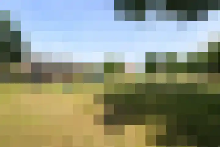 Vliestroom 37 Wieringerwerf thumbnail 26