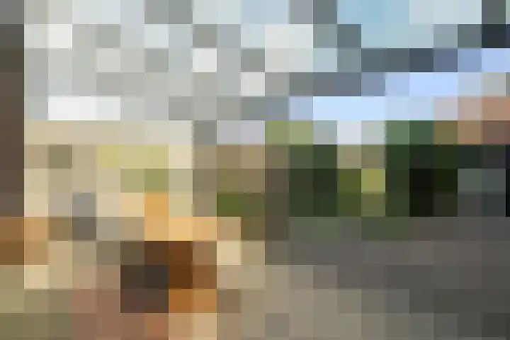 Vliestroom 37 Wieringerwerf thumbnail 5