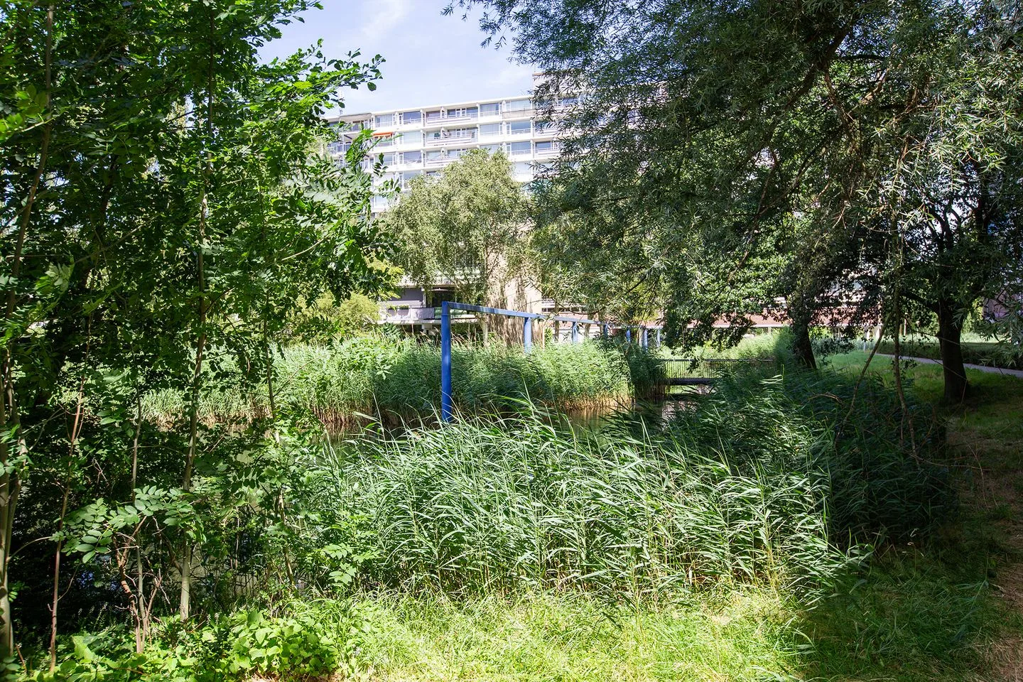 Vliestroom 42 Alphen aan den Rijn thumbnail 5