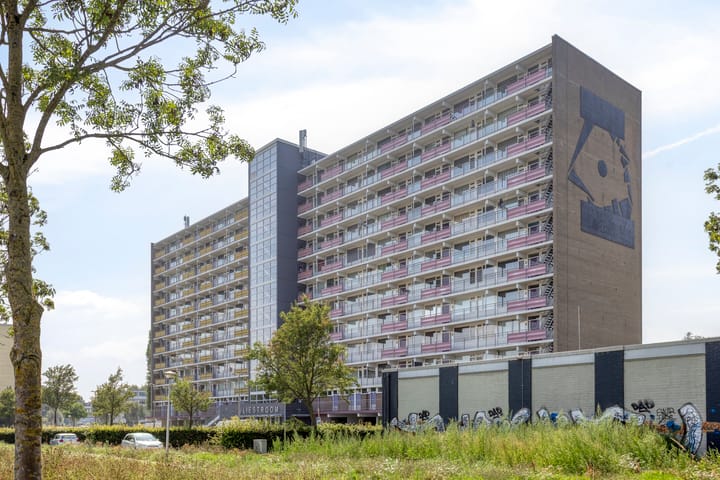 Vliestroom 52 in Alphen aan den Rijn foto