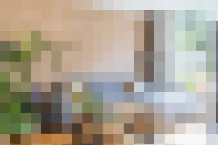 Vliestroom 52 Alkmaar thumbnail 10