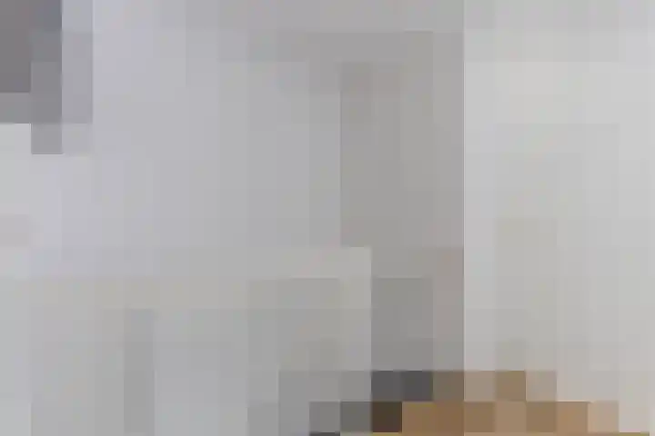 Vliestroom 52 Alkmaar thumbnail 18