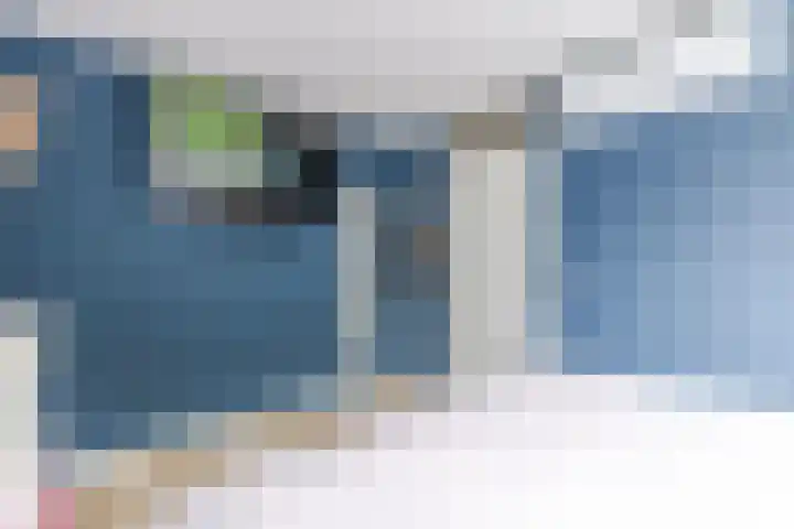 Vliestroom 52 Alkmaar thumbnail 20