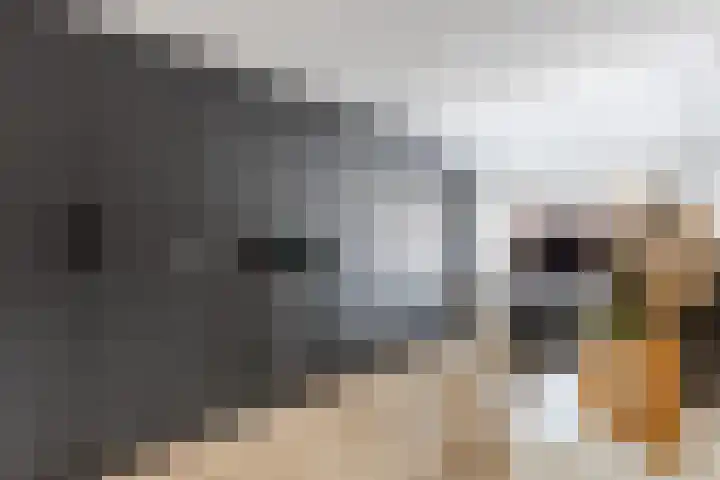 Vliestroom 52 Alkmaar thumbnail 21