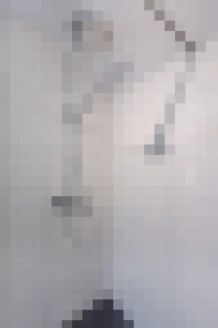 Vliestroom 52 Alkmaar thumbnail 24