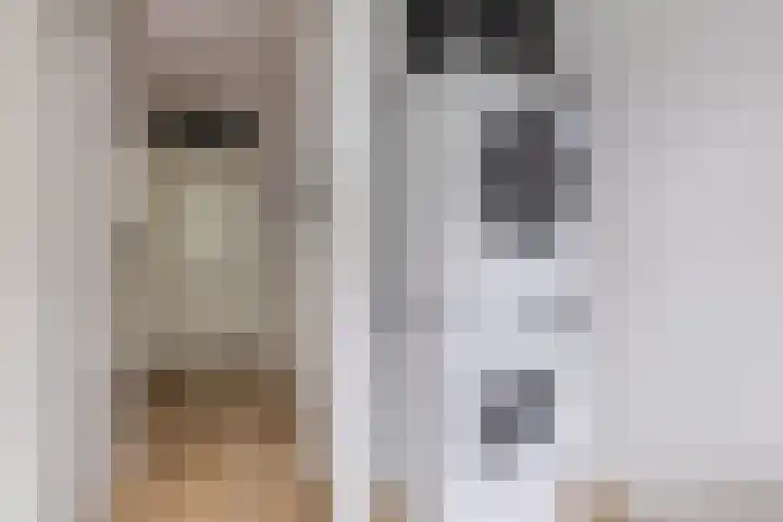 Vliestroom 52 Alkmaar thumbnail 26