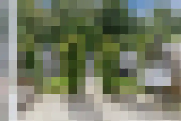 Vliestroom 52 Alkmaar thumbnail 27
