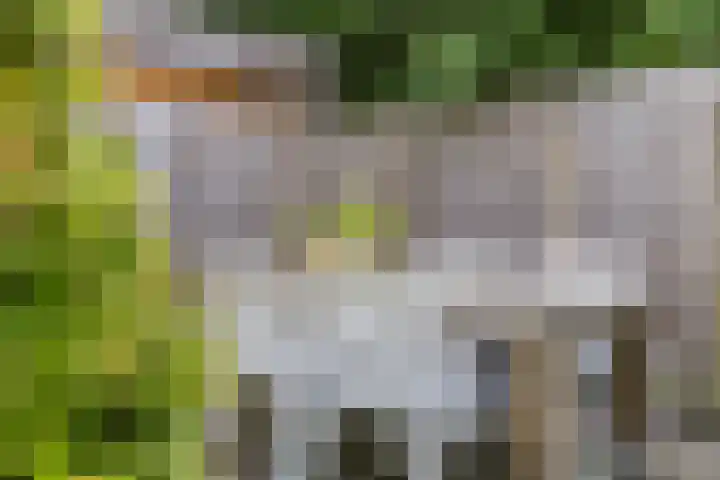 Vliestroom 52 Alkmaar thumbnail 29