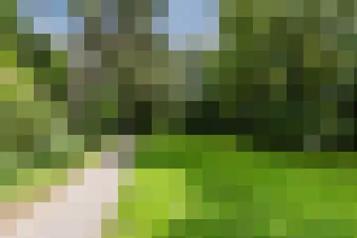Vliestroom 52 Alkmaar thumbnail 32