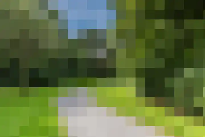 Vliestroom 52 Alkmaar thumbnail 33
