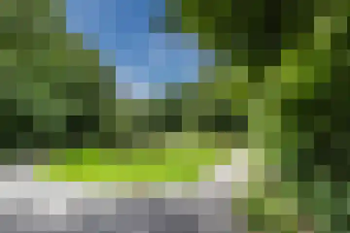 Vliestroom 52 Alkmaar thumbnail 34