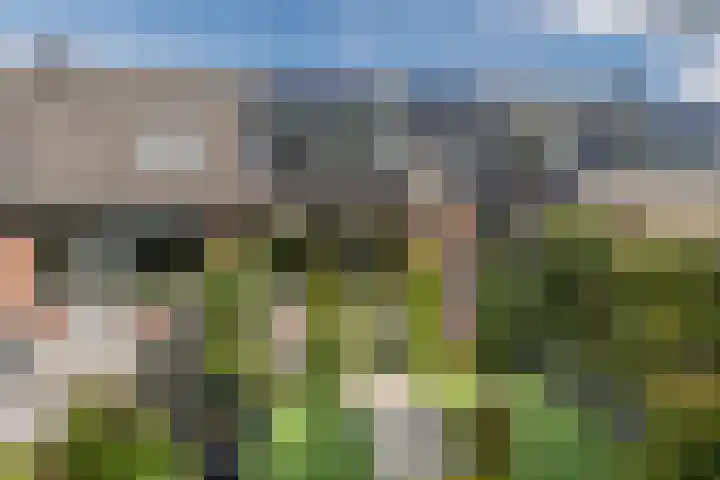 Vliestroom 52 Alkmaar thumbnail 4
