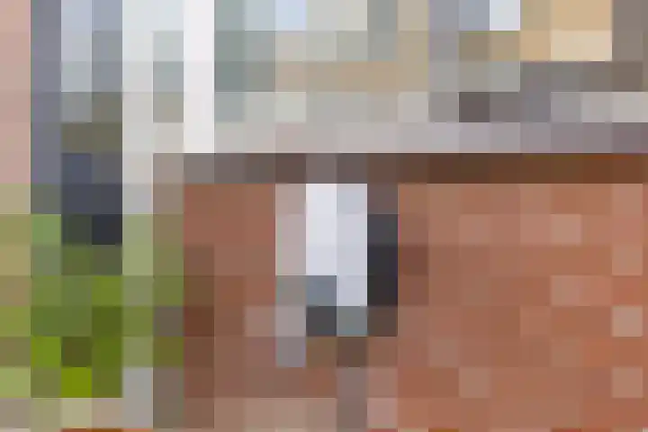 Vliestroom 52 Alkmaar thumbnail 6