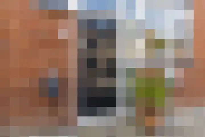 Vliestroom 52 Alkmaar thumbnail 7