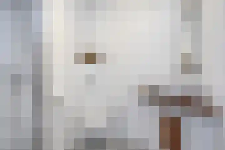 Vliestroom 52 Alphen aan den Rijn thumbnail 21