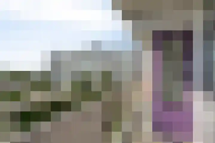 Vliestroom 52 Alphen aan den Rijn thumbnail 23