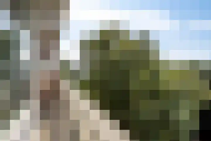 Vliestroom 52 Alphen aan den Rijn thumbnail 24