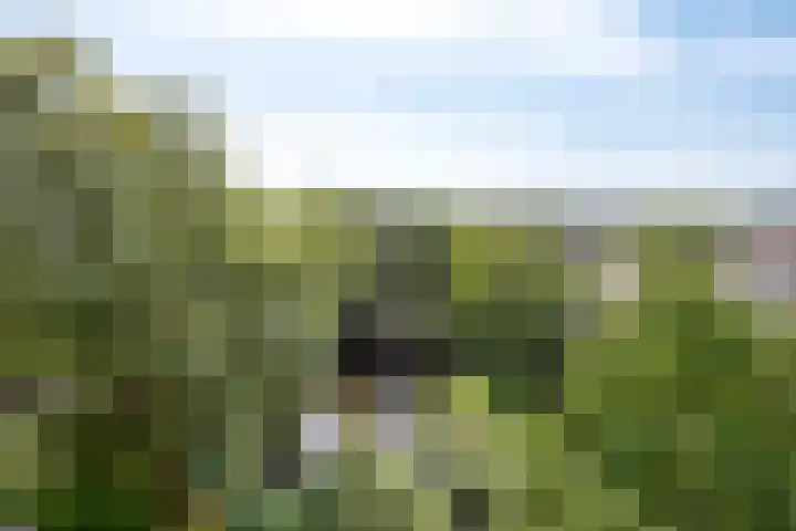 Vliestroom 52 Alphen aan den Rijn thumbnail 25