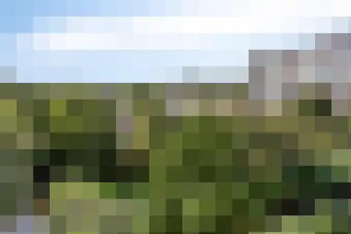 Vliestroom 52 Alphen aan den Rijn thumbnail 26
