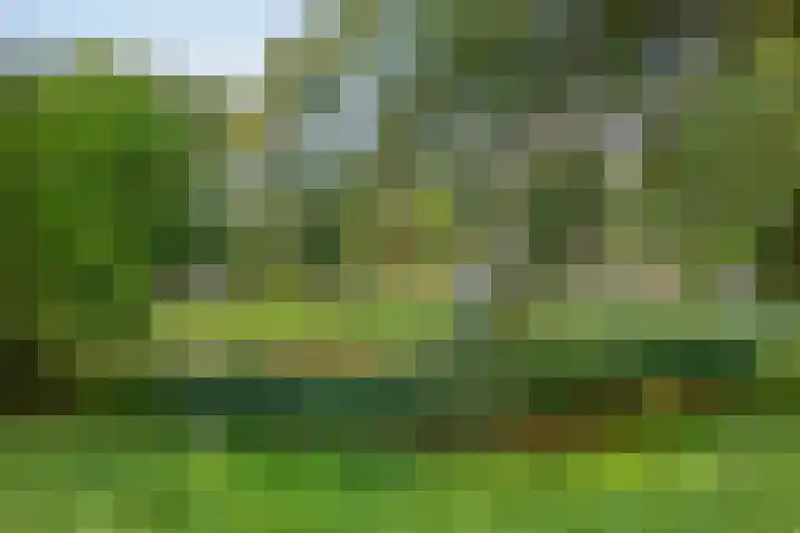 Vliestroom 52 Alphen aan den Rijn thumbnail 30