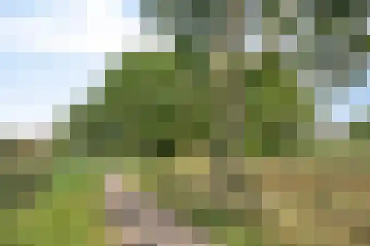 Vliestroom 52 Alphen aan den Rijn thumbnail 31