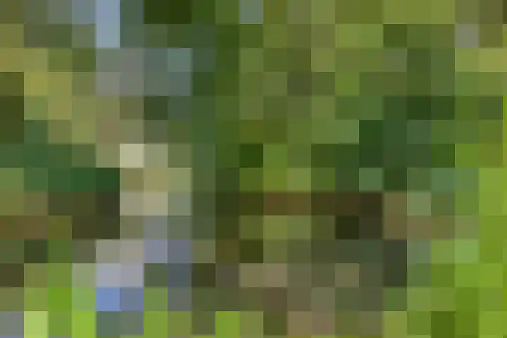 Vliestroom 52 Alphen aan den Rijn thumbnail 32