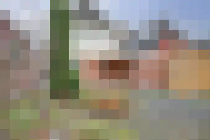 Vliestroom 58 Wieringerwerf thumbnail 26