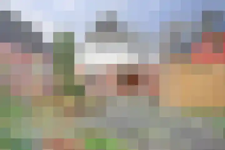 Vliestroom 58 Wieringerwerf thumbnail 27