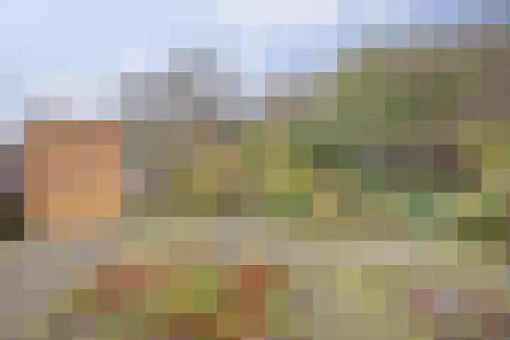 Vliestroom 58 Wieringerwerf thumbnail 28
