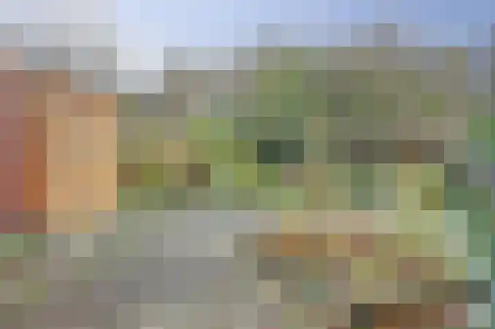 Vliestroom 58 Wieringerwerf thumbnail 29