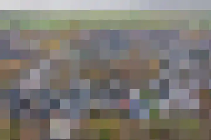 Vliestroom 58 Wieringerwerf thumbnail 34