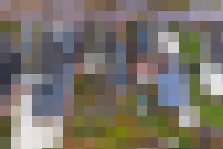 Vliestroom 58 Wieringerwerf thumbnail 4
