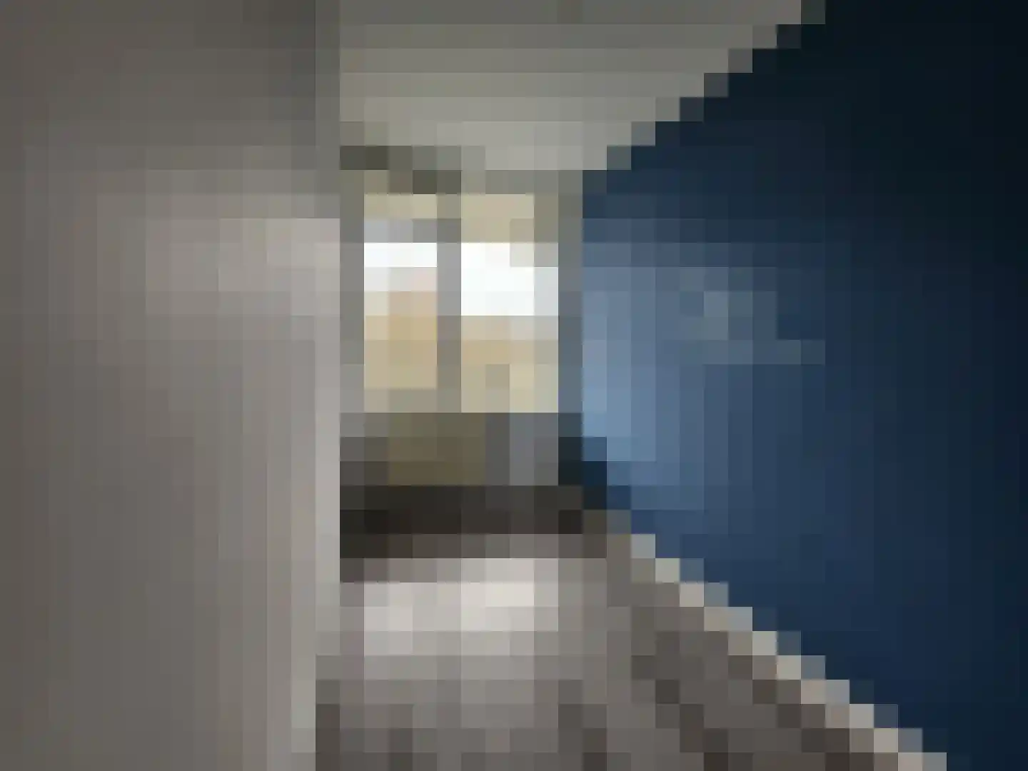 Vliestroom 59 Alphen aan den Rijn thumbnail 18