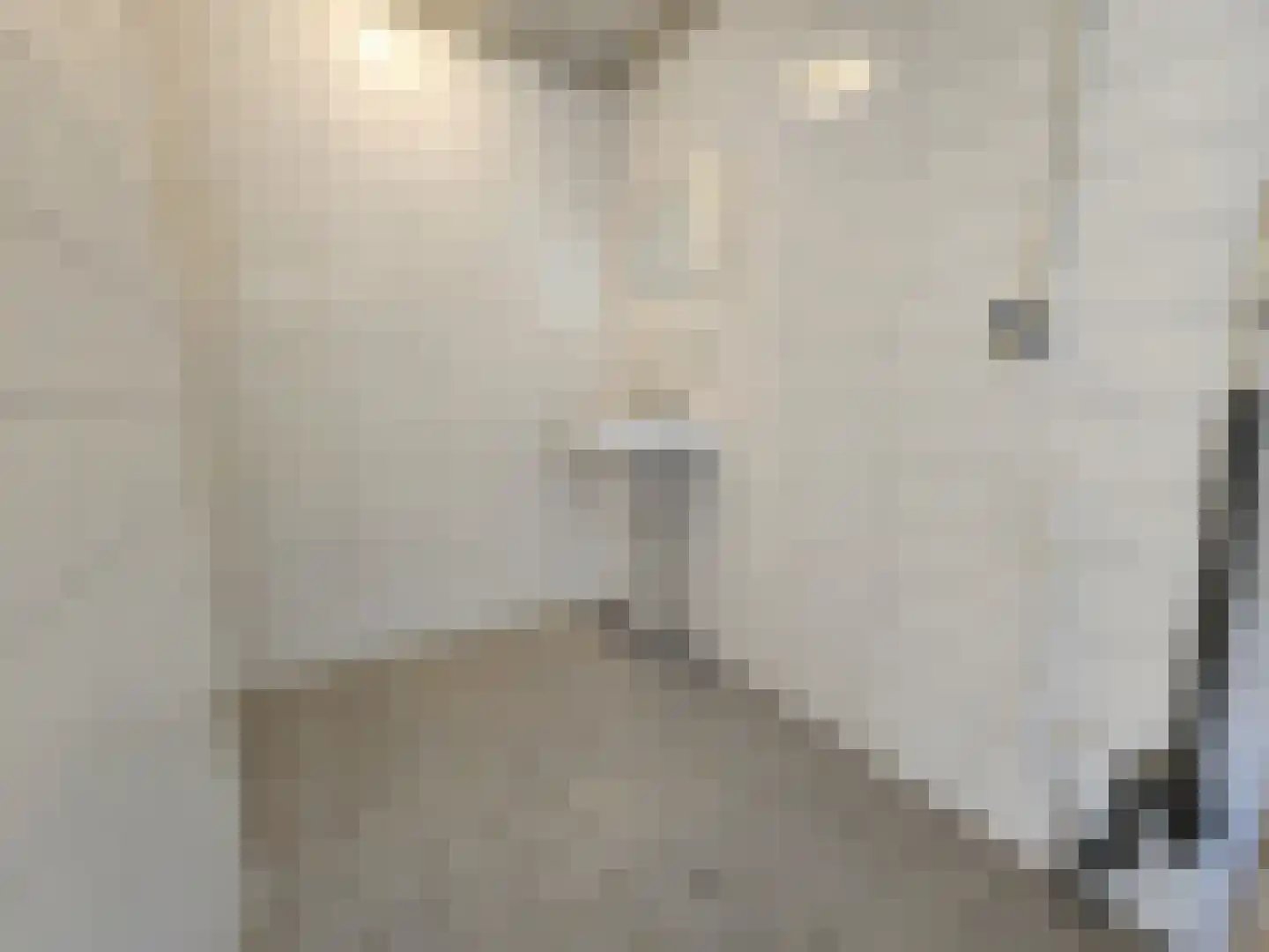 Vliestroom 59 Alphen aan den Rijn thumbnail 20