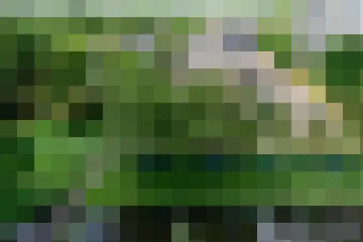 Vliestroom 64 Alphen aan den Rijn thumbnail 12