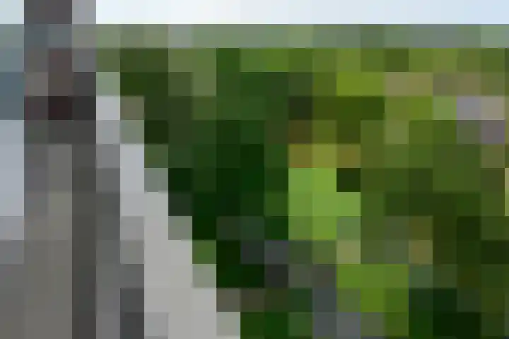Vliestroom 64 Alphen aan den Rijn thumbnail 14