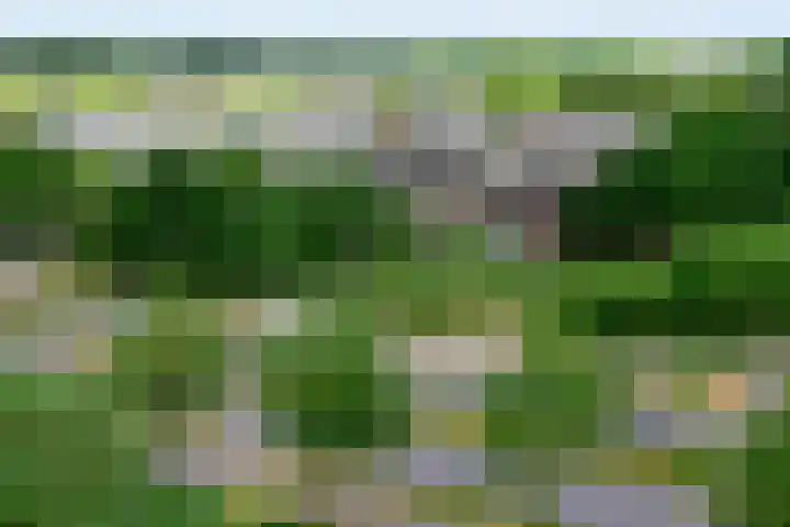 Vliestroom 64 Alphen aan den Rijn thumbnail 21