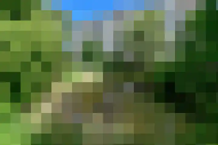 Vliestroom 64 Alphen aan den Rijn thumbnail 27
