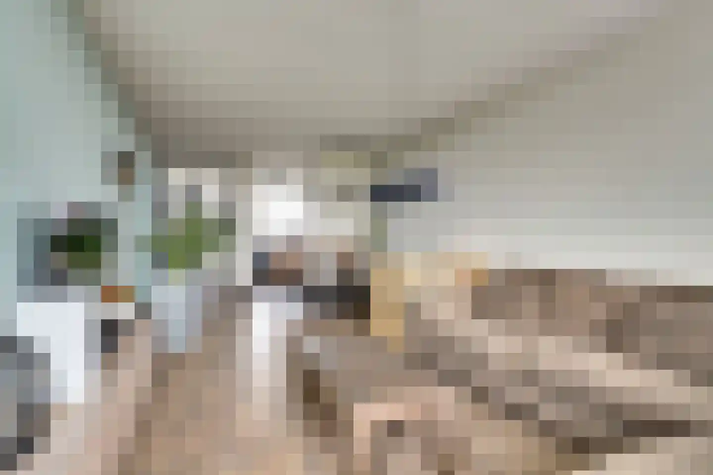 Vliestroom 66 Alphen aan den Rijn thumbnail 11