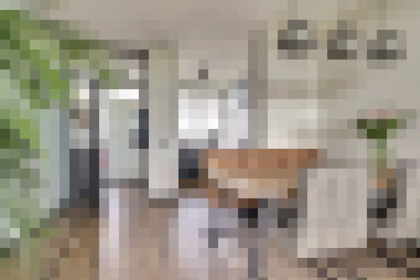 Vliestroom 66 Alphen aan den Rijn thumbnail 13