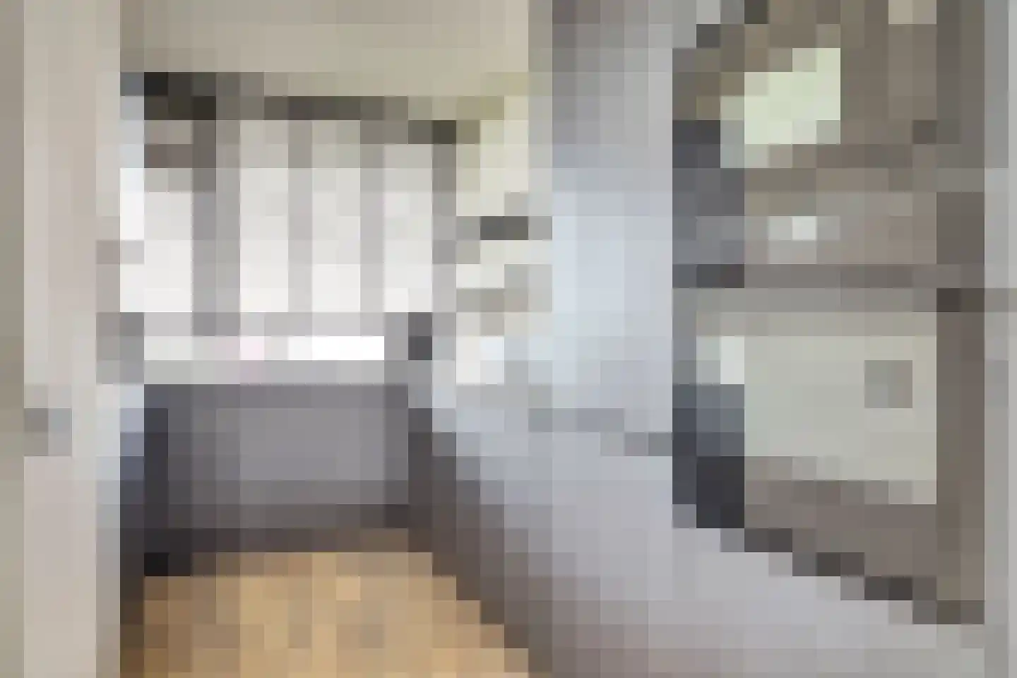 Vliestroom 66 Alphen aan den Rijn thumbnail 14